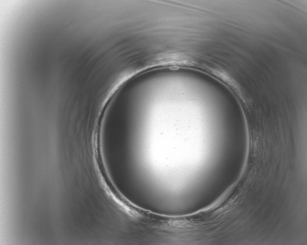 X0000061731383200512050922