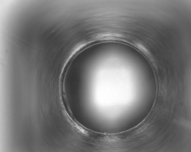 X0000061731384200512050922