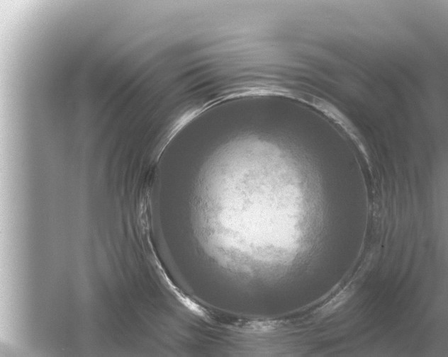 X0000061731385200512050922