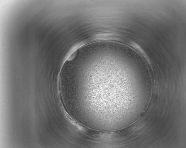 X0000061731386200512050922