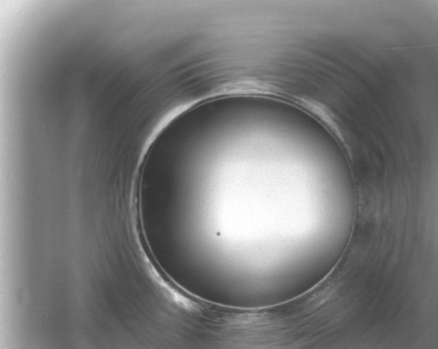 X0000061731387200512050922