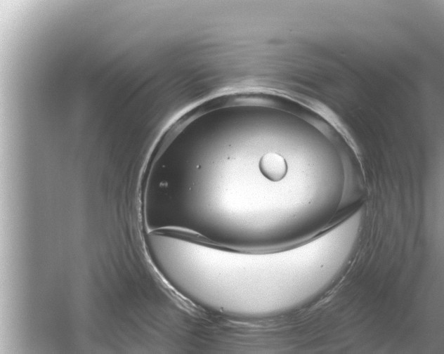 X0000061731388200512050922