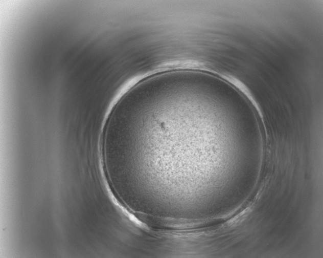 X0000061731389200512050922