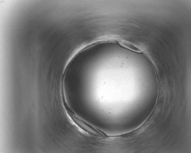 X0000061731390200512050922