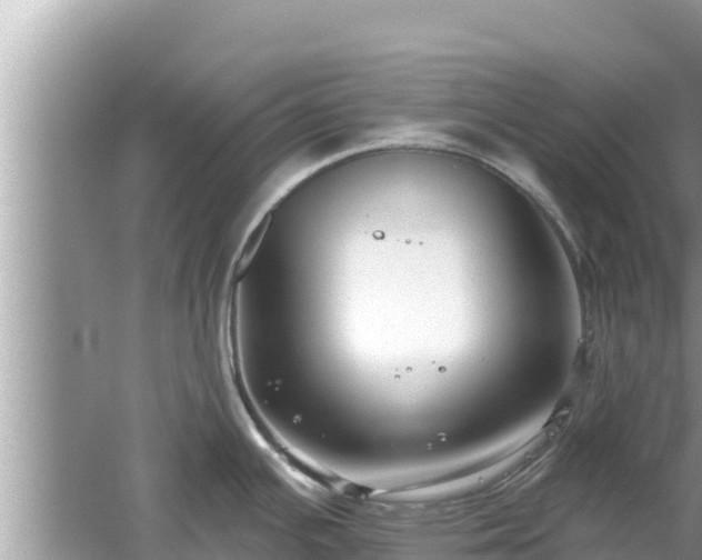 X0000061731391200512050922