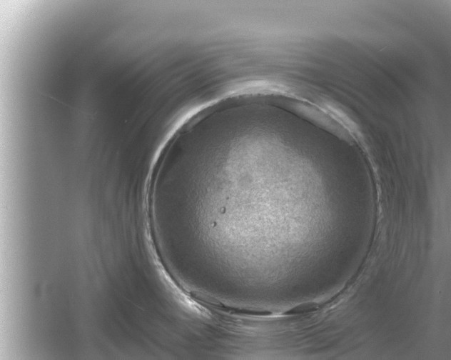 X0000061731392200512050922