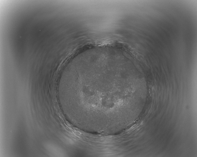 X0000061731393200512050921