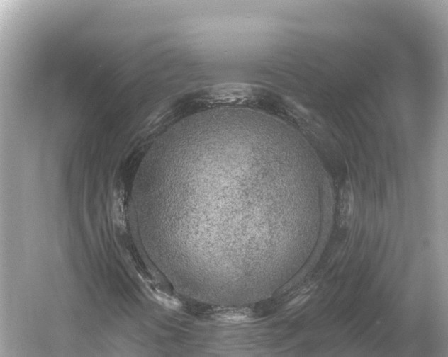 X0000061731394200512050921