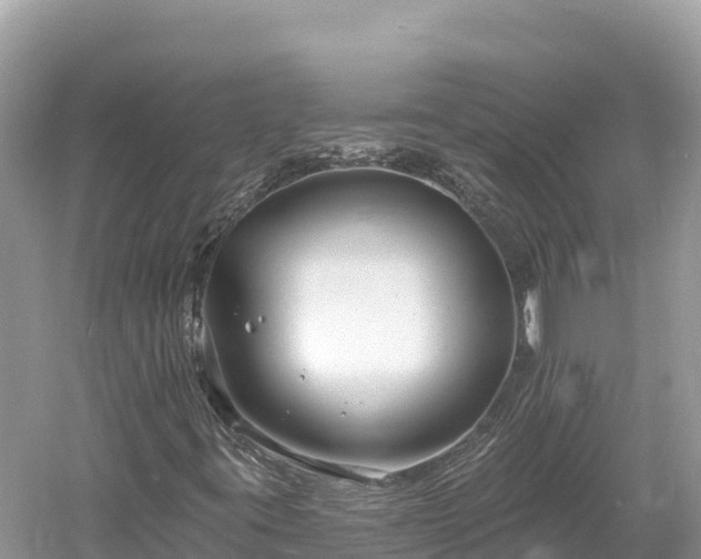 X0000061731395200512050921