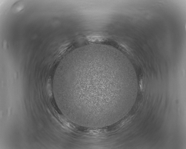 X0000061731396200512050921