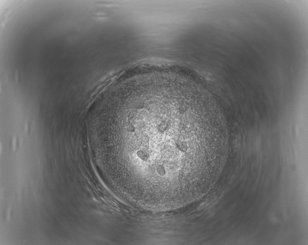 X0000061731397200512050921