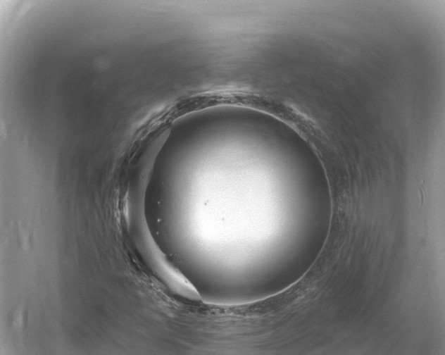 X0000061731398200512050921