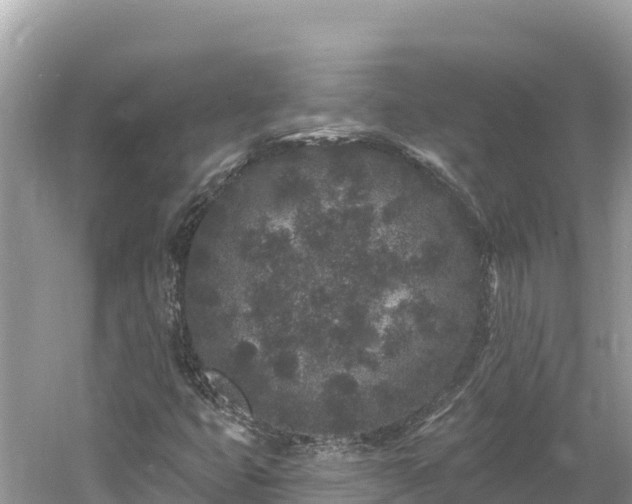 X0000061731399200512050921