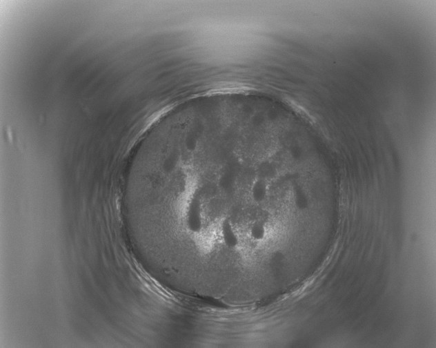 X0000061731401200512050921