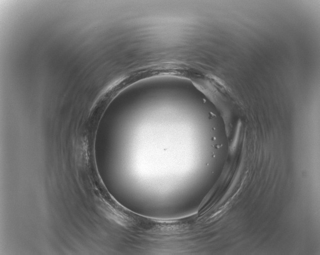 X0000061731402200512050921