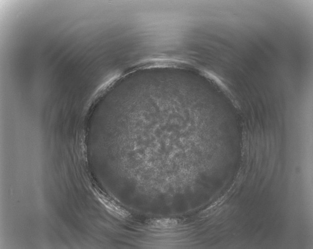 X0000061731403200512050921