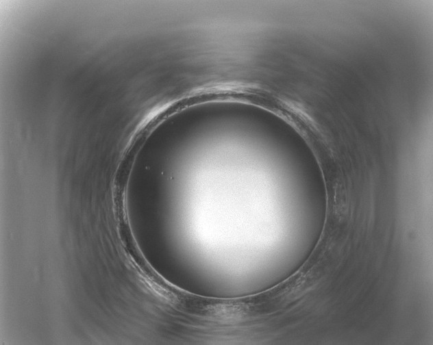 X0000061731404200512050921