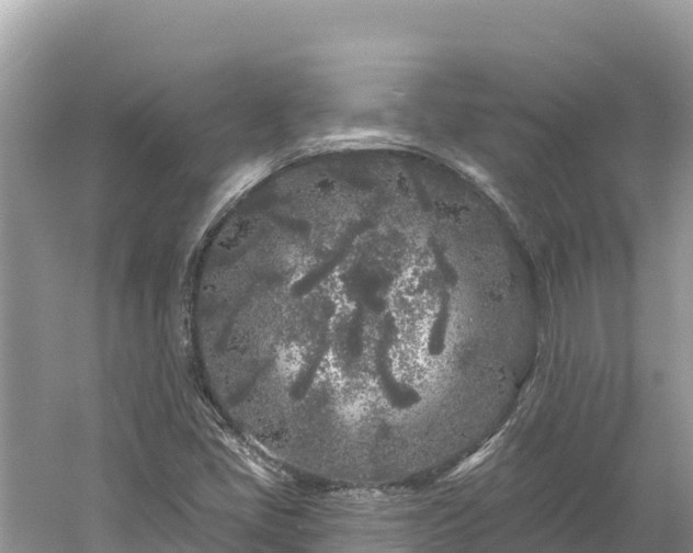 X0000061731405200512050921