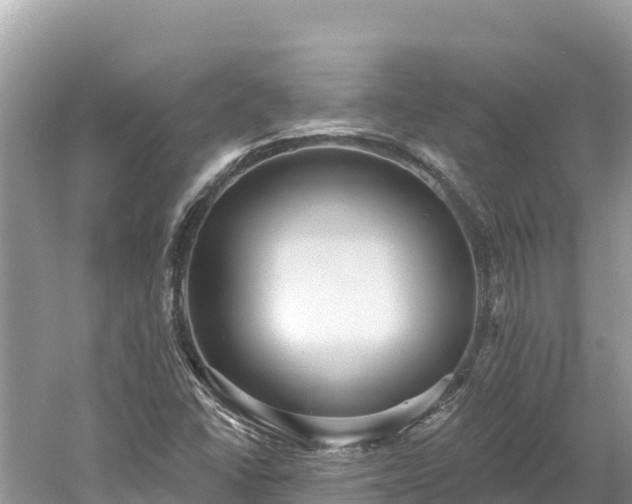 X0000061731406200512050921