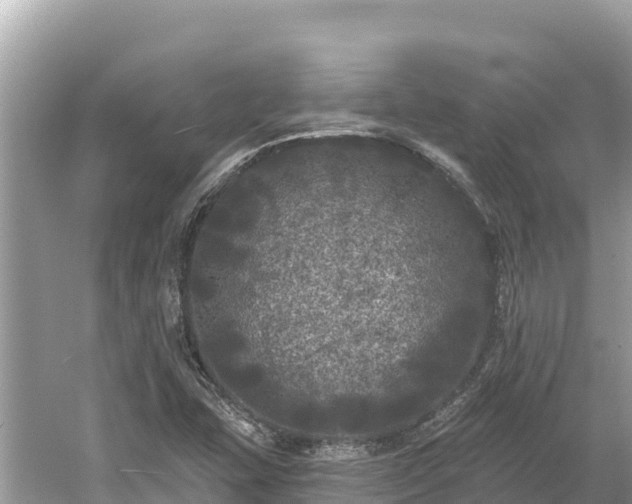 X0000061731407200512050921