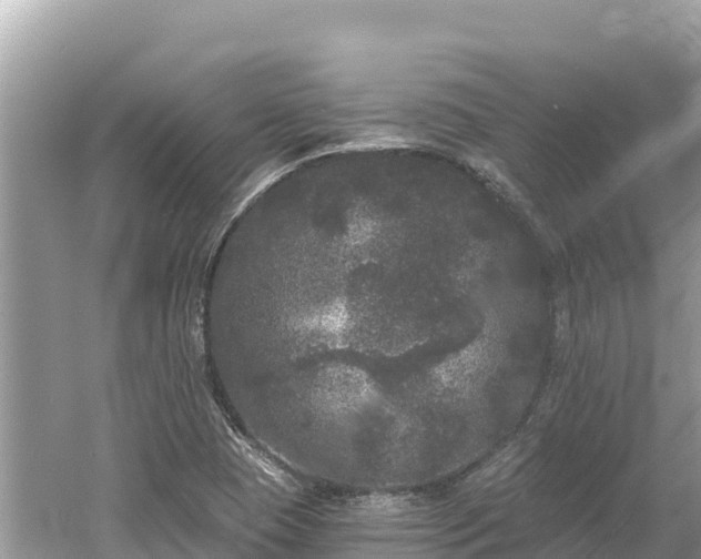 X0000061731409200512050921