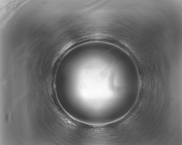 X0000061731410200512050921