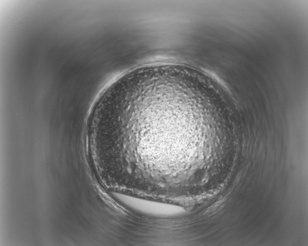 X0000061731413200512050921