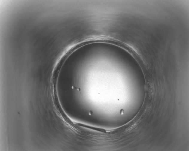 X0000061731414200512050921