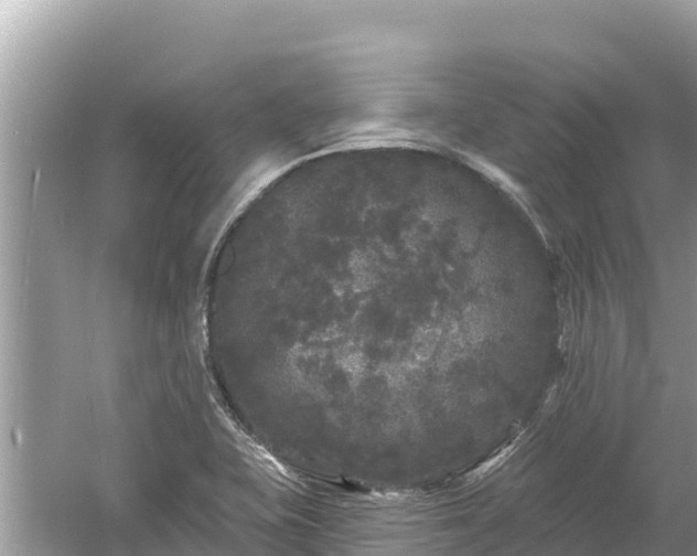 X0000061731415200512050921