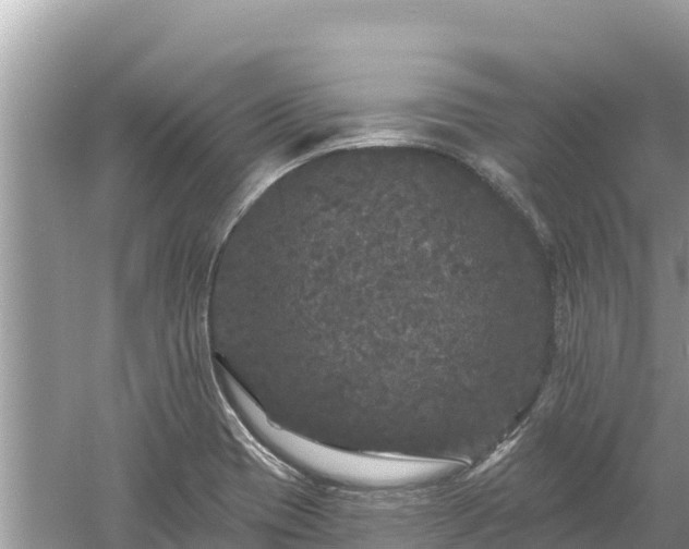 X0000061731417200512050921