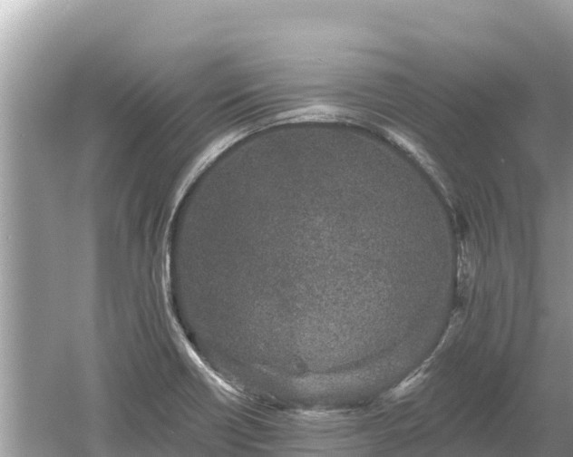 X0000061731418200512050921