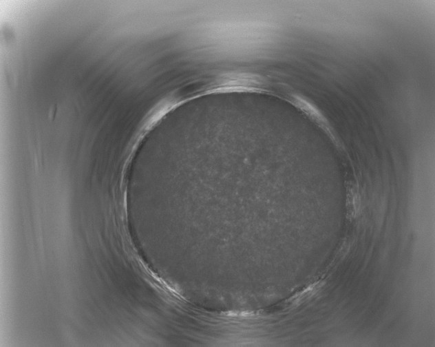 X0000061731419200512050921