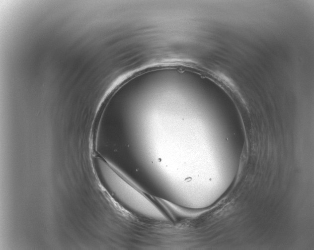 X0000061731420200512050921