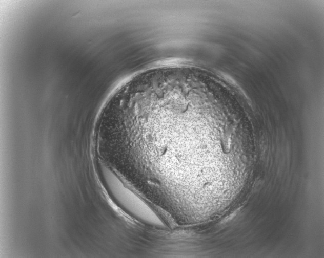 X0000061731421200512050921