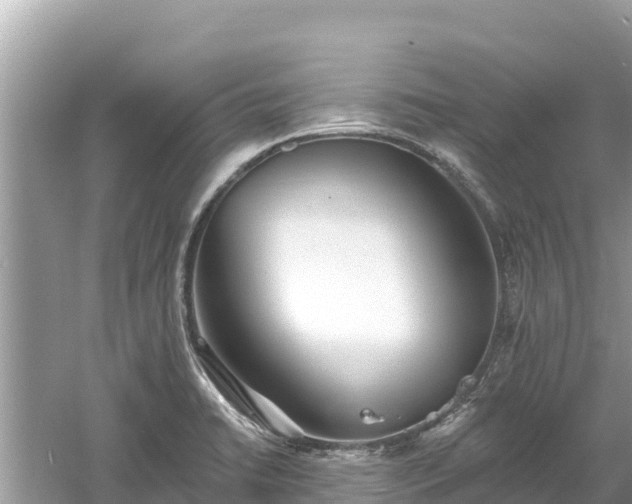 X0000061731422200512050921