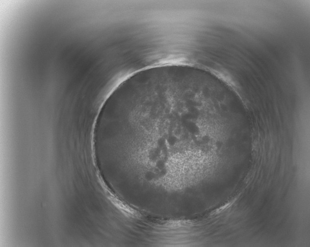 X0000061731423200512050921