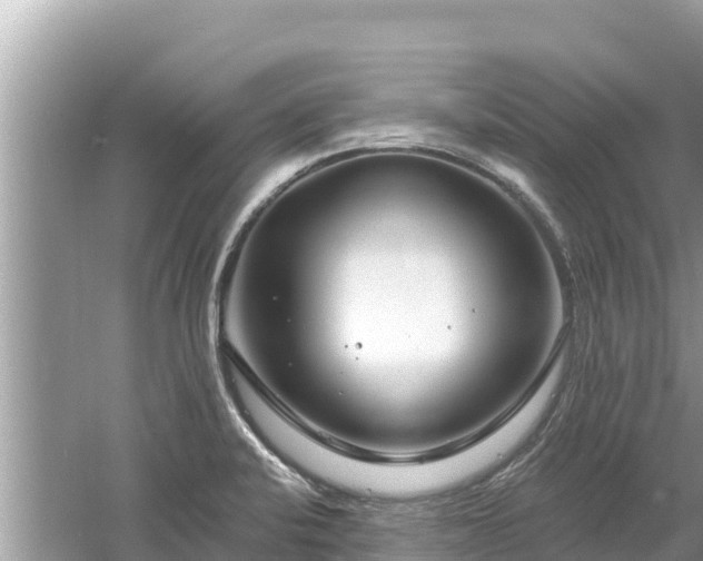 X0000061731424200512050921