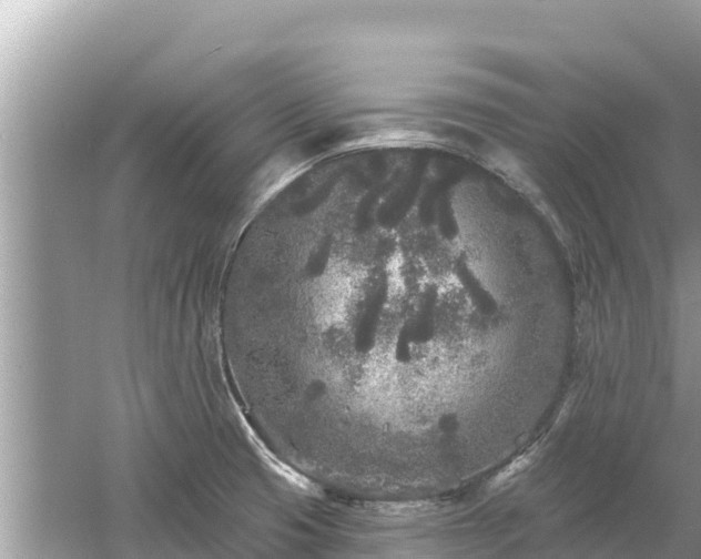 X0000061731425200512050921