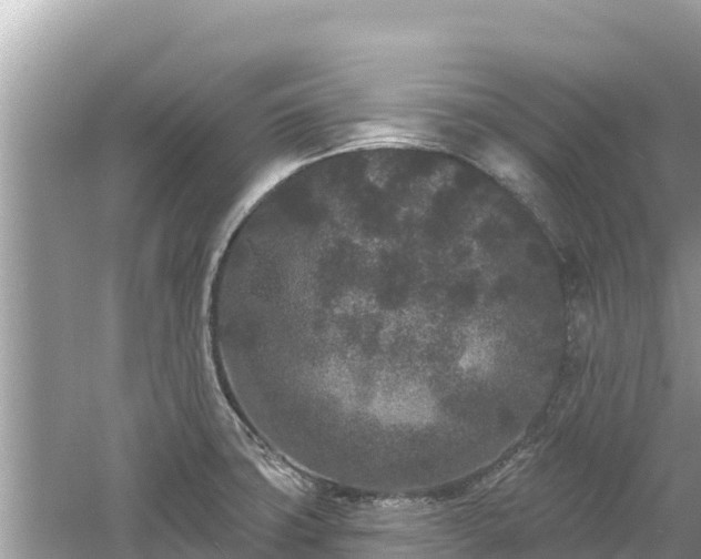 X0000061731427200512050921