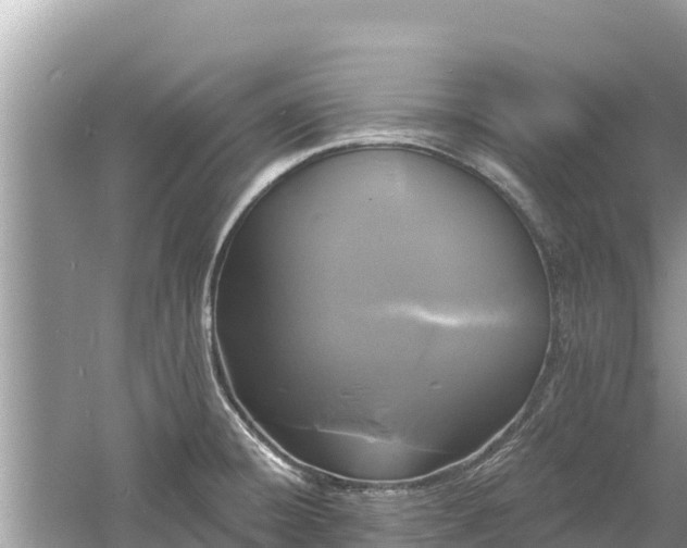 X0000061731428200512050921