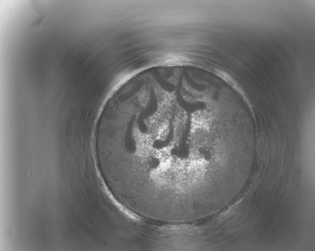 X0000061731429200512050921