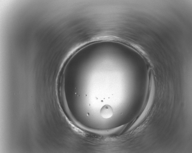 X0000061731430200512050921