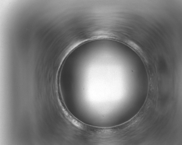 X0000061731431200512050921