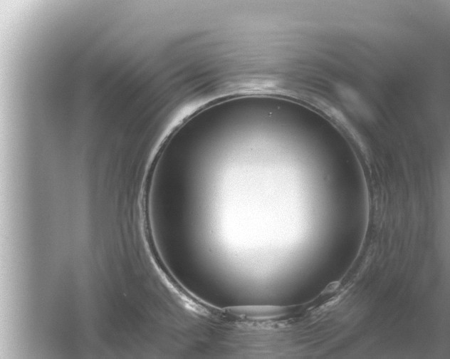 X0000061731432200512050921