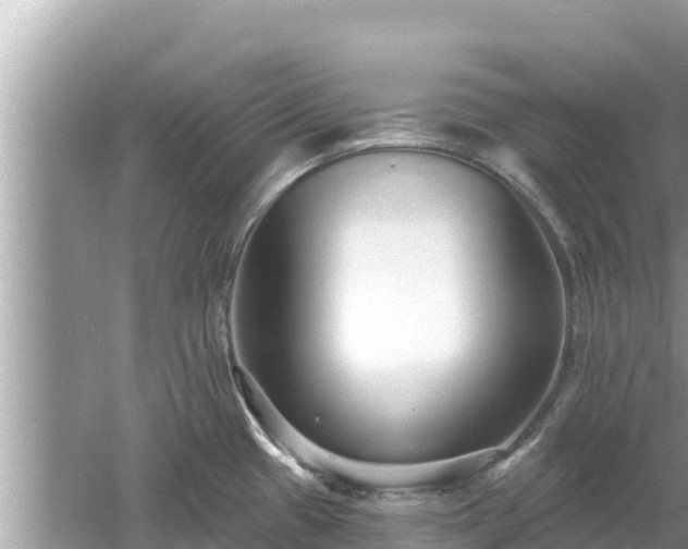 X0000061731433200512050921