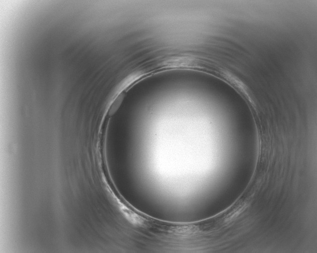 X0000061731434200512050921