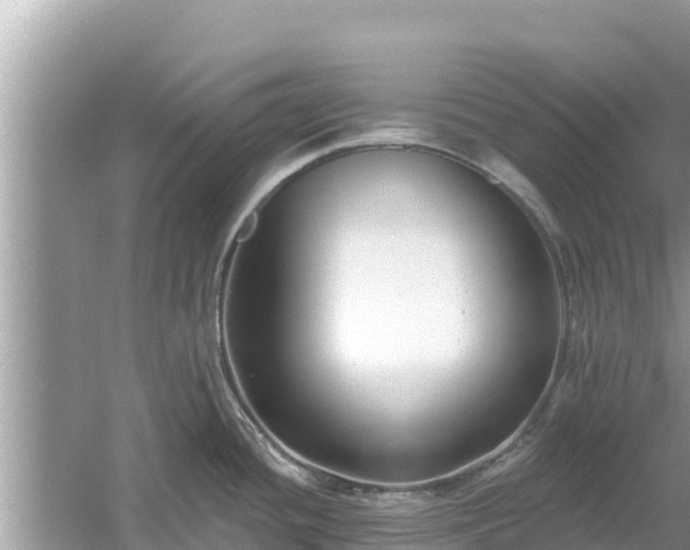 X0000061731436200512050921