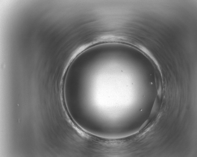 X0000061731437200512050921