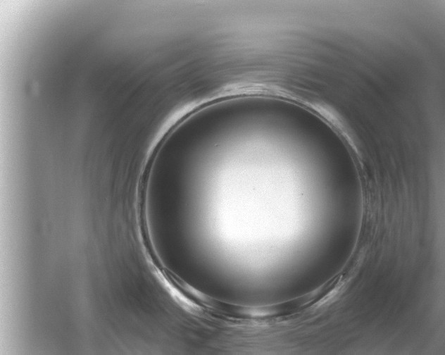 X0000061731438200512050921