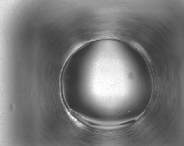 X0000061731439200512050921